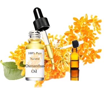 OEM / ODM del aceite esencial de Osmanthus
