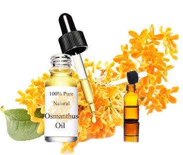 Osmanthus eteerinen öljy OEM / ODM