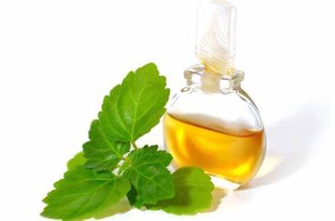 Olio essenziale di patchouli OEM / ODM